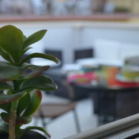 Domus Bed & Breakfast Palmi