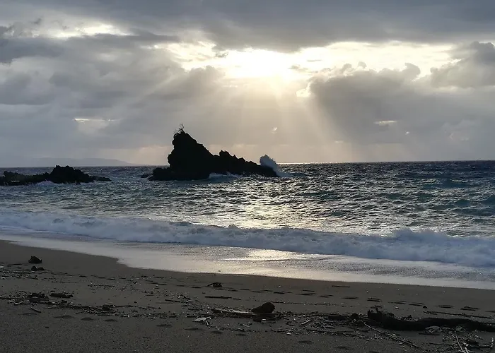 Domus Bed & Breakfast 4*