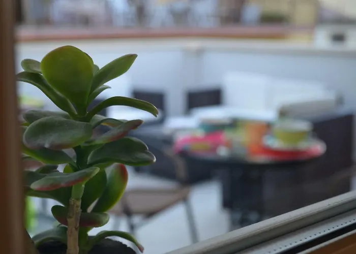 Domus Bed & Breakfast Palmi